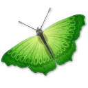  Butterfly 