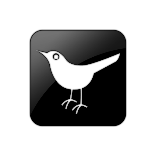  twitter bird icon 