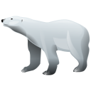  полярный медведь 