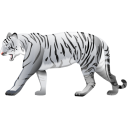  white tiger 
