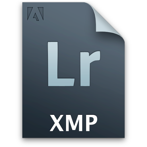  document file lr secondary xmp icon 