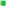  bullet green 