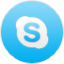  skype icon 