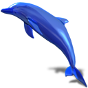  dlphin дельфин значок 