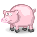  animal pig icon 
