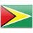  Гайана значок 