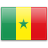  Сенегал значок 