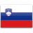  флаг Словения значок 