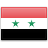  Сирии значок 