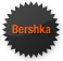 bershka2 icon 