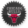  chicagobulls icon 