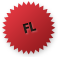  flash icon 
