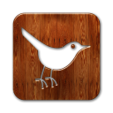  twitter bird3 square webtreatsetc 