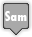  days sam icon 