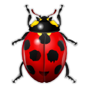  bug insect ladybird icon 