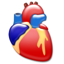  cardiology 