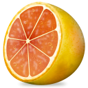  grapefruit icon 