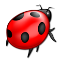 animal bug insect ladybird icon 