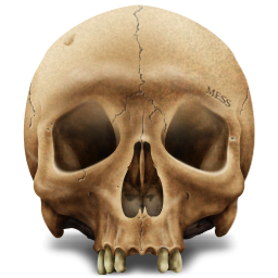  icon Skull 