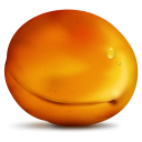  Apricot 