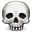  skull 
