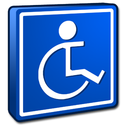  accessibility icon 