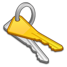  key icon 