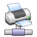  Network Printer 