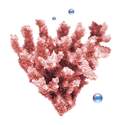  coral icon 