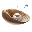  pearl icon 