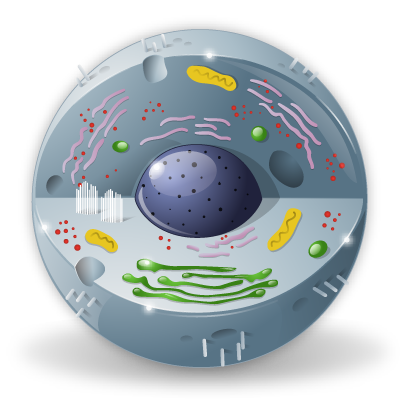  biology icon 