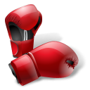  Boxing Gloves 