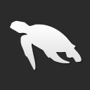 морская черепаха животные животное птица рыба птицы рыбы сафари дикие дикий домашние