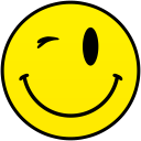 wink smiley smile emoticon emoticons emotions emotion human face head