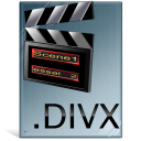  DivX значок 